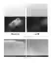 Fig. 31 - Membrane encapsulated nanoparticles and method of use