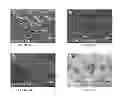 Fig. 32 - Membrane encapsulated nanoparticles and method of use