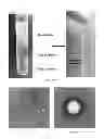 Fig. 33 - Membrane encapsulated nanoparticles and method of use