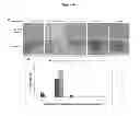 Fig. 08 - NON-VIRAL NANOPARTICLE-BASED DELIVERY SYSTEM