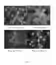 Fig. 02 - CAROTENOID PARTICLES AND USES THEREOF