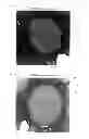 Fig. 08 - Controlled release particles and production method thereof