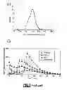 Fig. 02 - Particles containing a growth factor, and uses thereof
