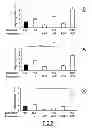 Fig. 05 - Particles containing a growth factor, and uses thereof