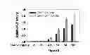 Fig. 06 - Noggin inhibitory compositions for ossification and methods related thereto