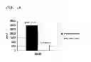 Fig. 03 - PHARMACEUTICAL USE