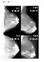 Fig. 04 - PHARMACEUTICAL USE