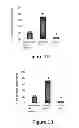 Fig. 02 - Composition comprising natural extracts
