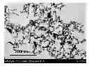 Fig. 01 - Coating Material Containing Organic/Inorganic Composite, Organic/Inorganic Composite Film and Antireflection Member