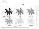 Fig. 01 - DESIGN DEVICES FOR APPLYING A COLORANT TO A SURFACE