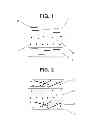 Fig. 02 - Injection molded body and method for producing same