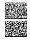 Fig. 07 - Nickel composite hydroxide particles and nonaqueous electrolyte secondary battery