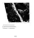 Fig. 02 - Combined histological stain