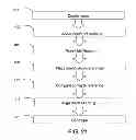 Fig. 40 - Methods and compositions for evaluating genetic markers