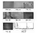 Fig. 09 - Human trophoblast stem cells and methods of therapeutic screening