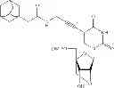Fig. 167 - Nucleobase-functionalized conformationally restricted nucleotides and oligonucleotides for targeting nucleic acids