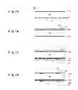 Fig. 02 - Method of manufacturing thick-film electrode