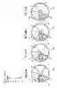 Fig. 35 - Film deposition apparatus, substrate processing apparatus and film deposition method