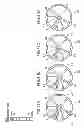Fig. 36 - Film deposition apparatus, substrate processing apparatus and film deposition method