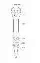 Fig. 02 - Golf tee and manufacturing method thereof