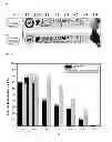 Fig. 02 - Method for preparing polycrystalline aluminum oxynitride having enhanced transparency