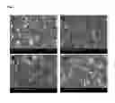 Fig. 09 - Method for preparing polycrystalline aluminum oxynitride having enhanced transparency