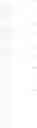 Fig. 17 - Cyclic compound, its metal complex and modified metal complex