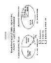 Fig. 05 - Methods for differentiating between disease states