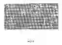 Fig. 02 - DURABLE HAEMOSTATIC SCAFFOLD