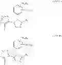 Fig. 197 - METHOD FOR TREATING INFECTIONS