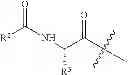 Fig. 13 - Use of Compounds Elevating Glutathione Levels for the Treatment of Parkinson's Disease