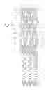 Fig. 12 - Method of treating vascular bifurcations