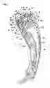 Fig. 02 - LIGHT-IRRADIATING BEAUTY DEVICE