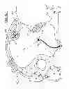 Fig. 02 - Method and Apparatus for Pet Tethering Device