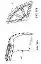 Fig. 14 - Shweel