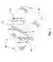 Fig. 02 - STUDY CARRELS