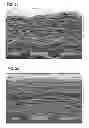Fig. 16 - Method and apparatus for forming a fibrous media