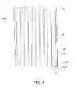 Fig. 02 - Multiaxial fabrics