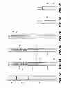Fig. 02 - Wireless downhole tool positioning control
