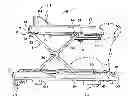 Fig. 01 - Juvenile walker