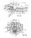 Fig. 08 - Juvenile walker
