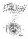 Fig. 09 - Juvenile walker