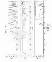 Fig. 04 - Photovoltaic system maximum power point tracking