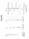 Fig. 197 - LENS SYSTEM, OPTICAL APPARATUS AND MANUFACTURING METHOD
