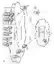 Fig. 02 - System and method for integrating VoIP client for audio conferencing