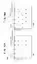 Fig. 18 - Pattern identifying apparatus