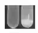 Fig. 02 - Noncarious material and anticarious agent containing rare sugar