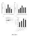 Fig. 08 - Methods of Modifying Insulin Signaling Using Biliverdin Reductase (BVR) and BVR Derived Peptides