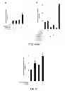 Fig. 09 - Methods of Modifying Insulin Signaling Using Biliverdin Reductase (BVR) and BVR Derived Peptides