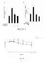 Fig. 10 - Methods of Modifying Insulin Signaling Using Biliverdin Reductase (BVR) and BVR Derived Peptides